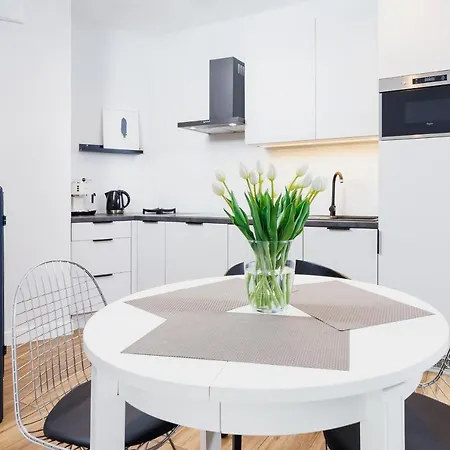 3d Wilga By Renters *