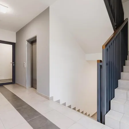 3d Wilga By Renters