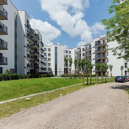 3d Wilga By Renters