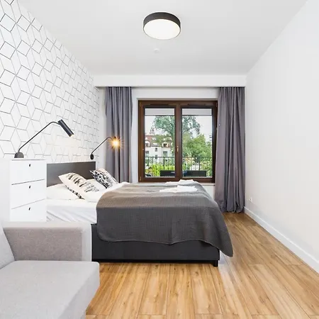 3d Wilga By Renters