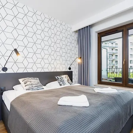 3d Wilga By Renters