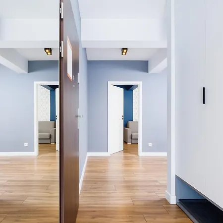 3d Wilga By Renters