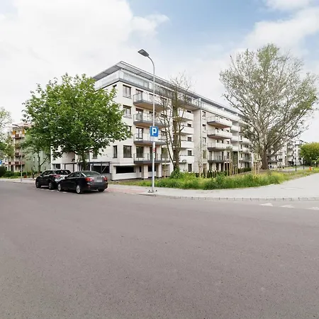 3d Wilga By Renters